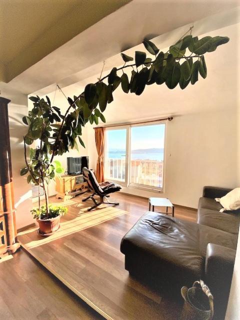 Amarante Apartments Kastela Dış mekan fotoğraf